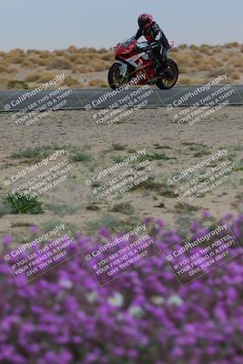 media/Jan-14-2023-SoCal Trackdays (Sat) [[497694156f]]/Turn 14 Exit Bloomig (145pm)/